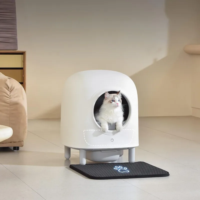 Petree tự động dọn dẹp